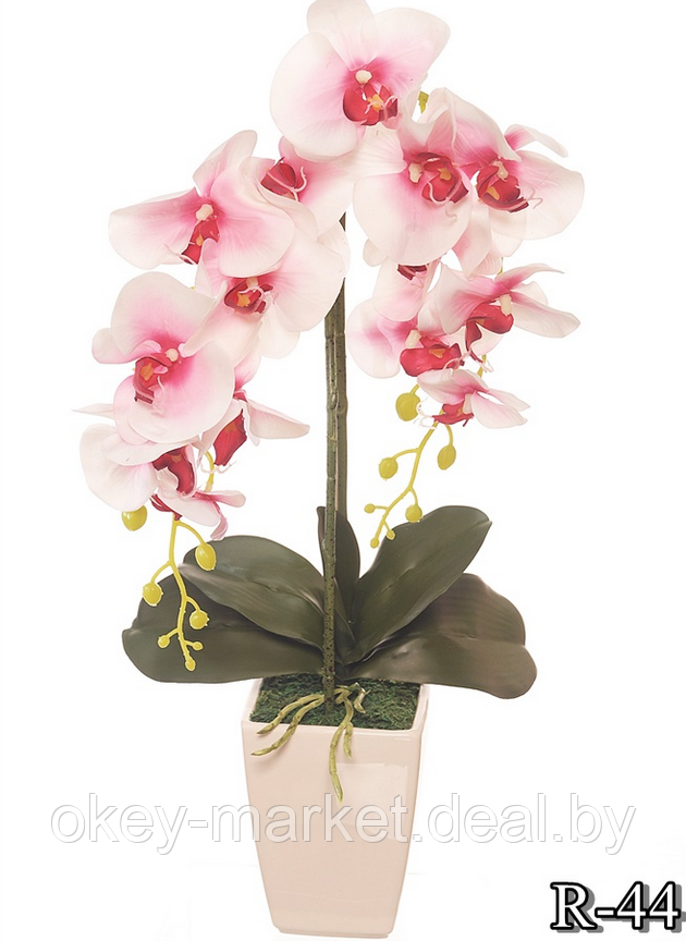 Цветочная композиция из орхидей в горшке R-44 - фото 8 - id-p157333651