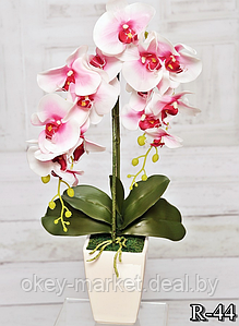 Цветочная композиция из орхидей в горшке R-44