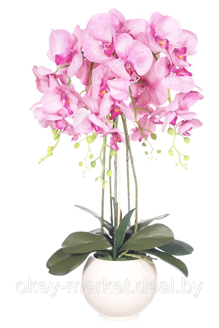 Цветочная композиция из орхидей в горшке R-601 - фото 8 - id-p145780746