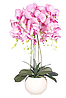 Цветочная композиция из орхидей в горшке R-601, фото 5