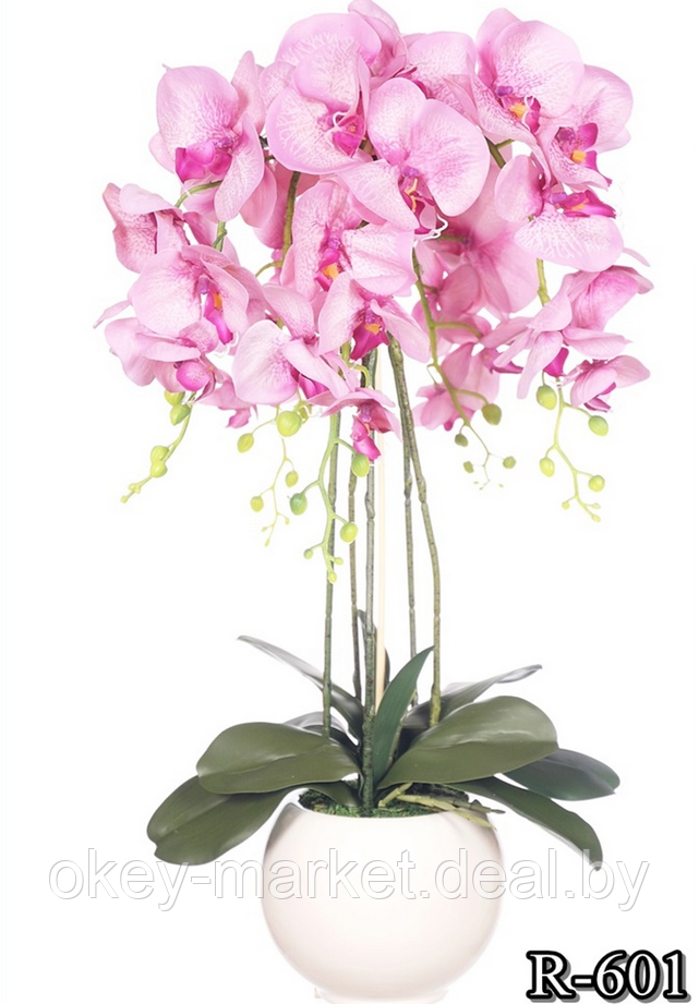 Цветочная композиция из орхидей в горшке R-601 - фото 1 - id-p145780746