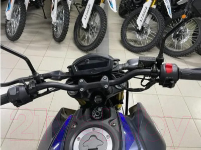 Мотоцикл Motoland XL250-F MT 250 172FMM-5/PR250 - фото 10 - id-p217505725