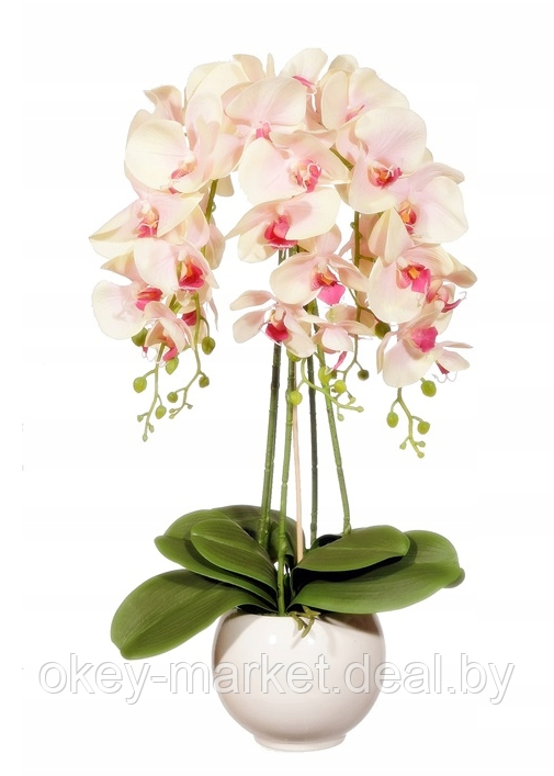 Цветочная композиция из орхидей в горшке R-301 - фото 2 - id-p145782724