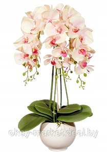 Цветочная композиция из орхидей в горшке R-301