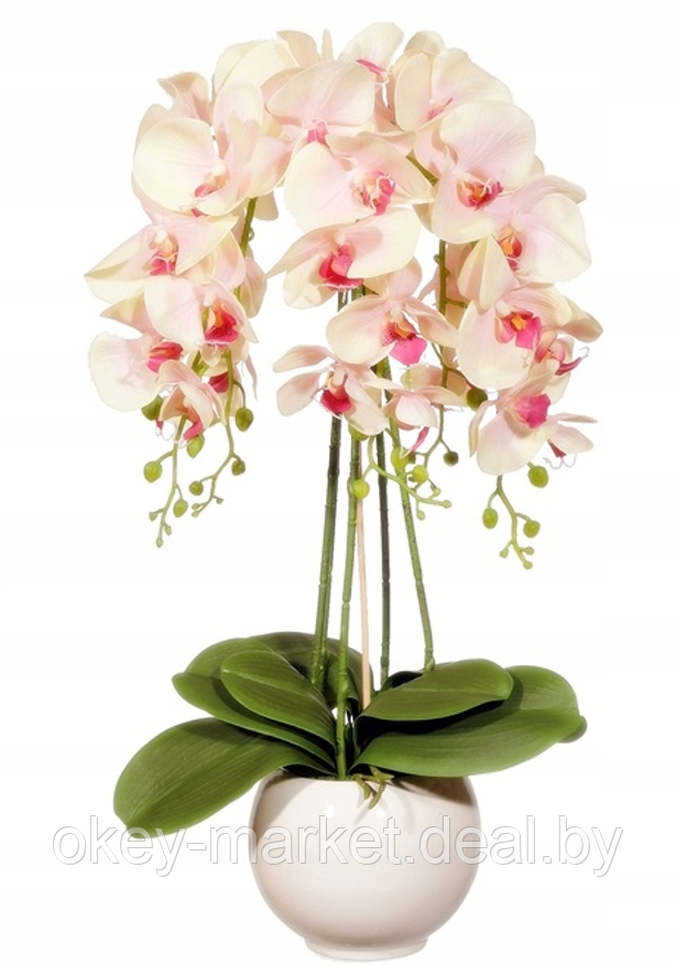 Цветочная композиция из орхидей в горшке R-301 - фото 1 - id-p145782724