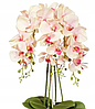 Цветочная композиция из орхидей в горшке R-301, фото 2
