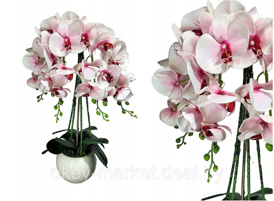 Цветочная композиция из орхидей в горшке R-3011 - фото 4 - id-p145779417
