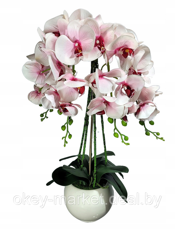 Цветочная композиция из орхидей в горшке R-3011, фото 2