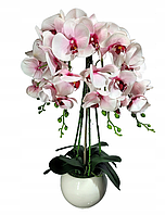 Цветочная композиция из орхидей в горшке R-3011
