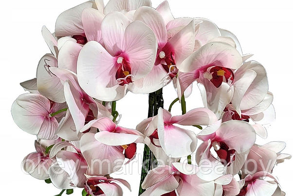 Цветочная композиция из орхидей в горшке R-3011, фото 3