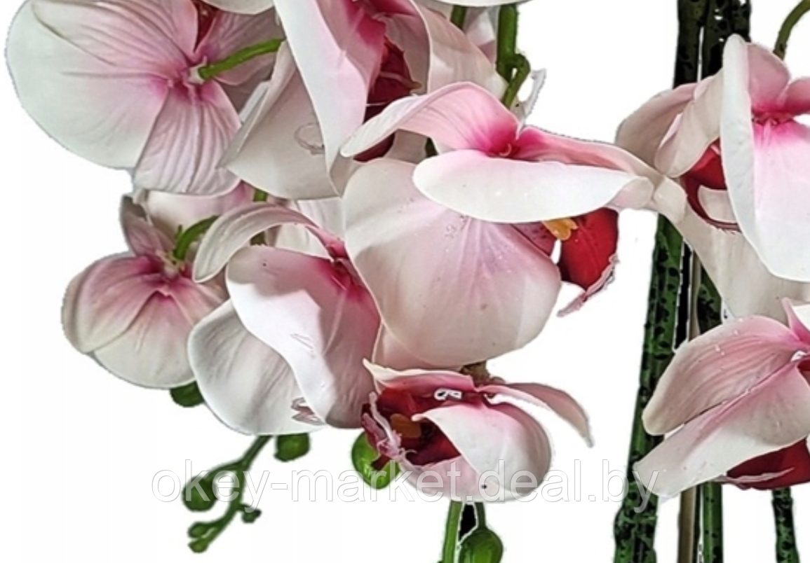 Цветочная композиция из орхидей в горшке R-3011 - фото 6 - id-p145779417