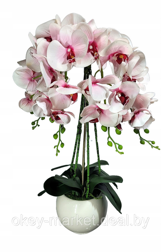 Цветочная композиция из орхидей в горшке R-3011 - фото 2 - id-p145779417