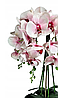 Цветочная композиция из орхидей в горшке R-3011, фото 3