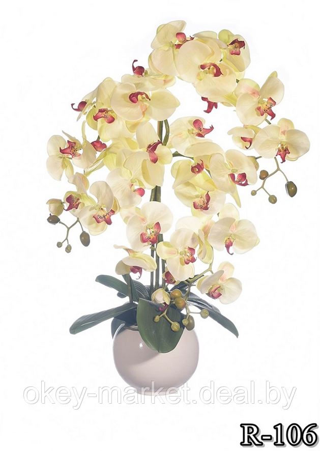 Цветочная композиция из орхидей в горшке 4 ветки R-106 - фото 4 - id-p157218087