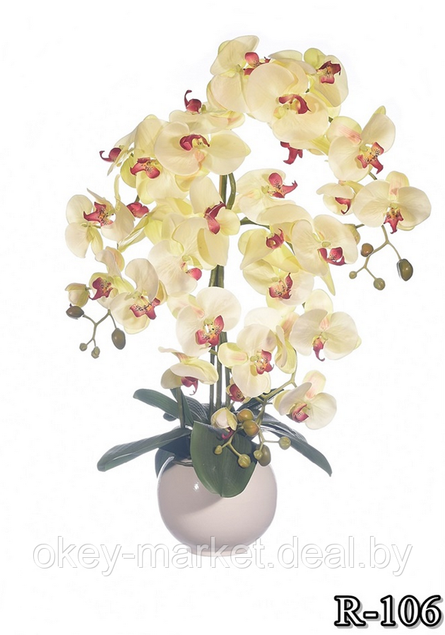 Цветочная композиция из орхидей в горшке 4 ветки R-106 - фото 2 - id-p157218087