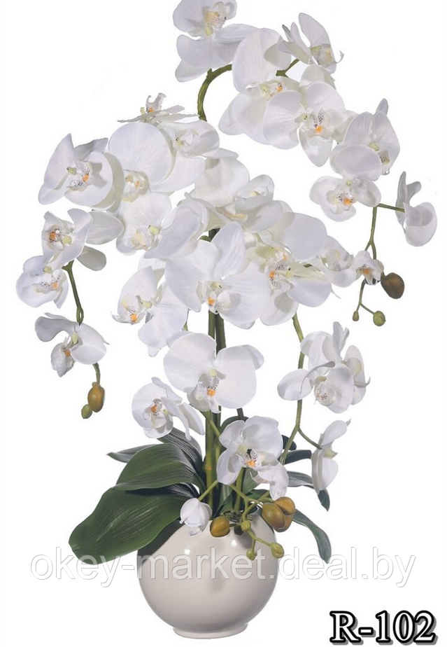Цветочная композиция из орхидей в горшке R-102
