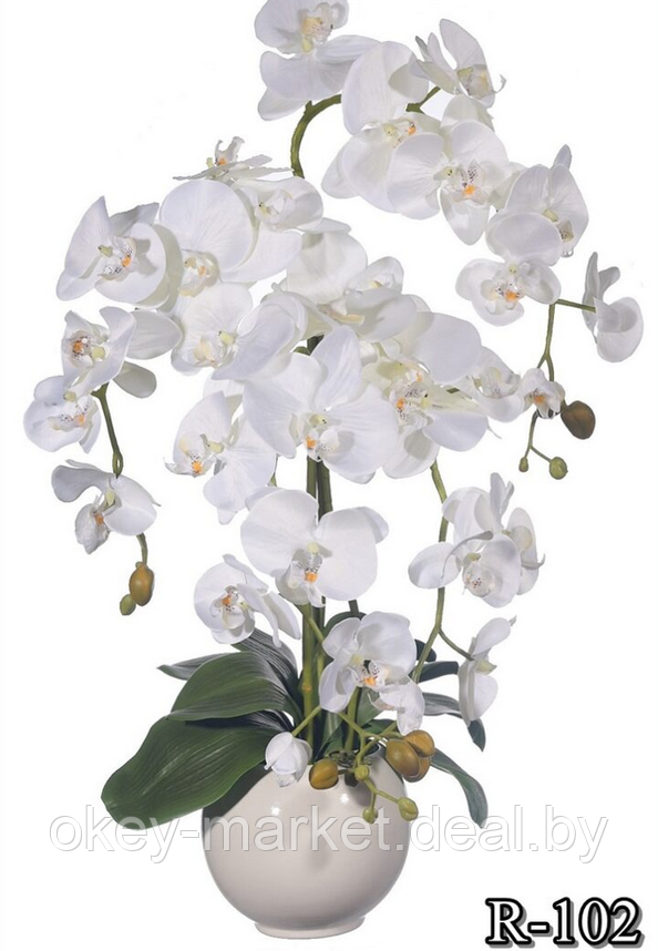 Цветочная композиция из орхидей в горшке R-102, фото 2
