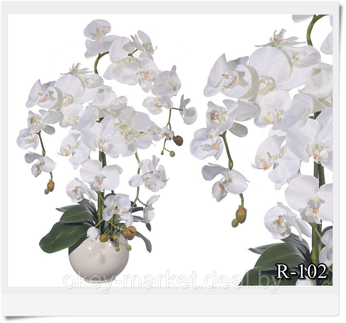 Цветочная композиция из орхидей в горшке R-102 - фото 10 - id-p145362242