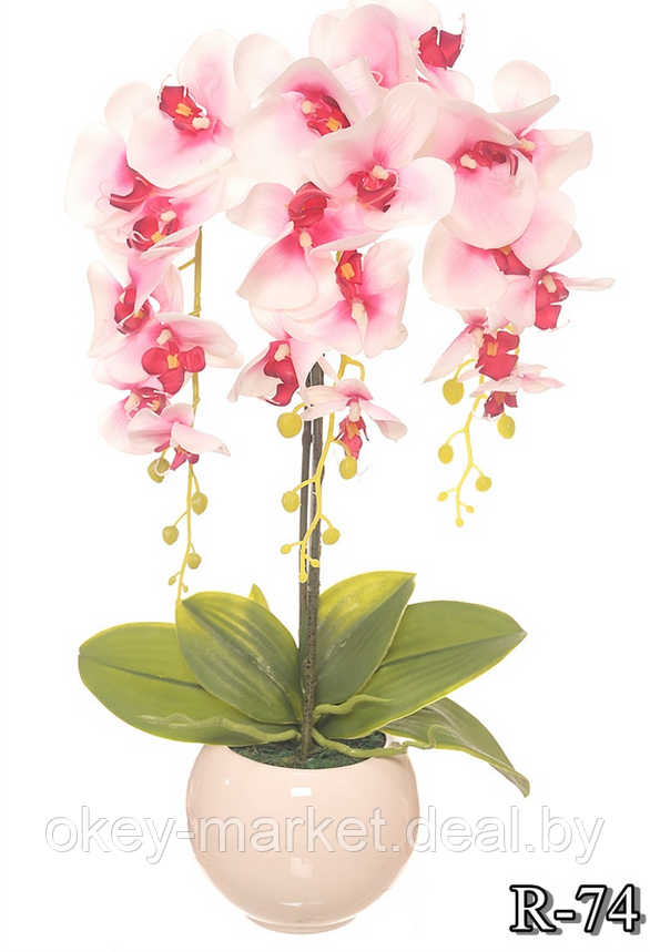 Цветочная композиция из орхидей в горшке R-74, фото 2