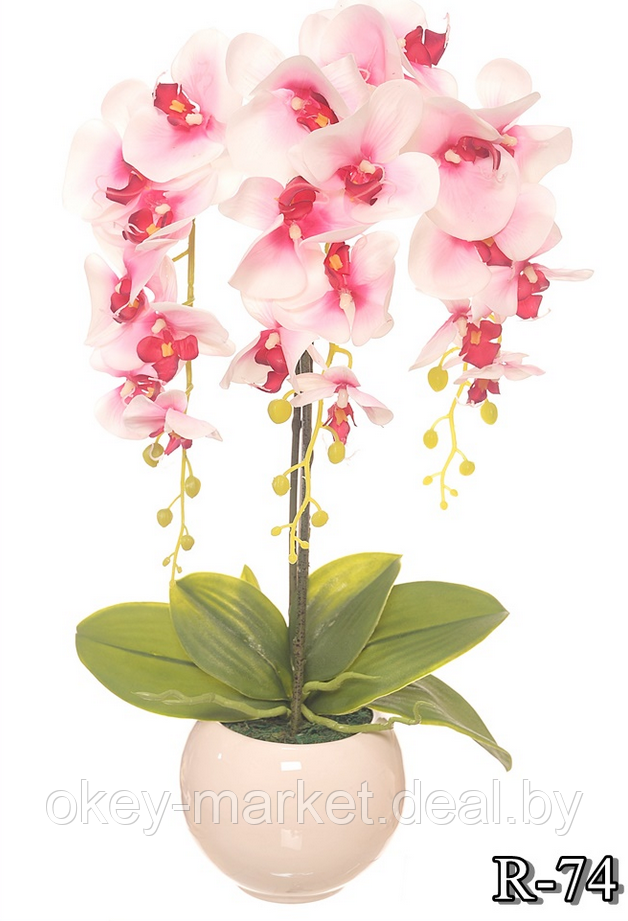 Цветочная композиция из орхидей в горшке R-74 - фото 1 - id-p146885759