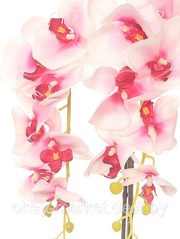 Цветочная композиция из орхидей в горшке R-74 - фото 10 - id-p146885759