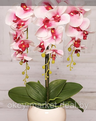 Цветочная композиция из орхидей в горшке R-74, фото 3