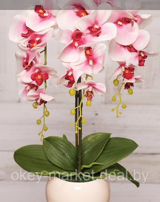 Цветочная композиция из орхидей в горшке R-74 - фото 3 - id-p146885759