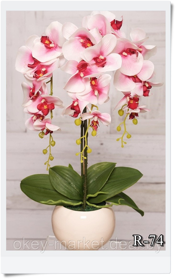 Цветочная композиция из орхидей в горшке R-74 - фото 2 - id-p146885759