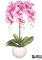 Цветочная композиция из орхидей в горшке R-711