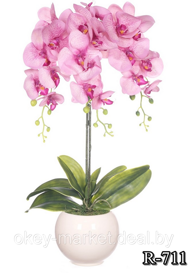 Цветочная композиция из орхидей в горшке R-711 - фото 1 - id-p146894722