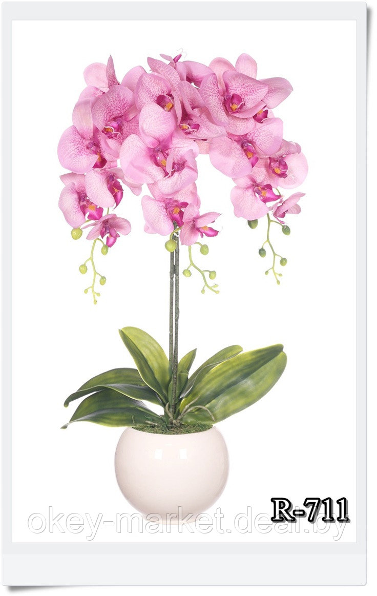 Цветочная композиция из орхидей в горшке R-711 - фото 9 - id-p146894722