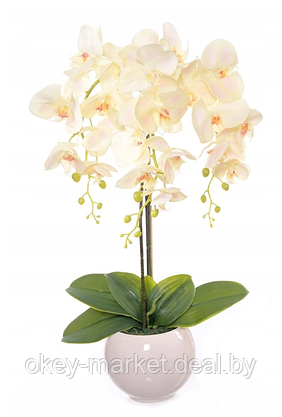 Цветочная композиция из орхидей в горшке R-407, фото 3