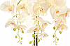 Цветочная композиция из орхидей в горшке R-407, фото 3