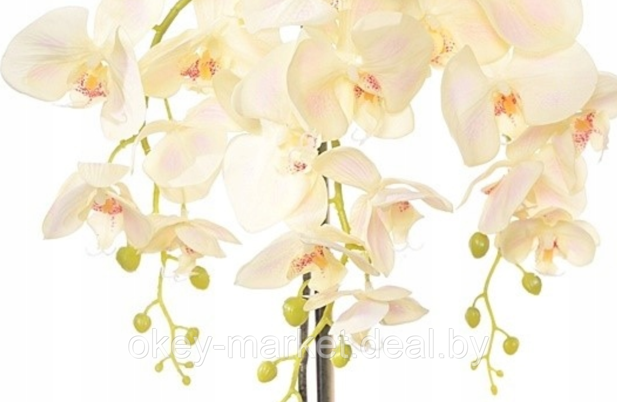 Цветочная композиция из орхидей в горшке R-407 - фото 7 - id-p146896728
