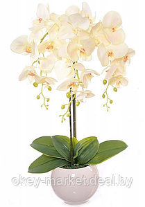 Цветочная композиция из орхидей в кашпо 62см , 3 ветки,  R-74