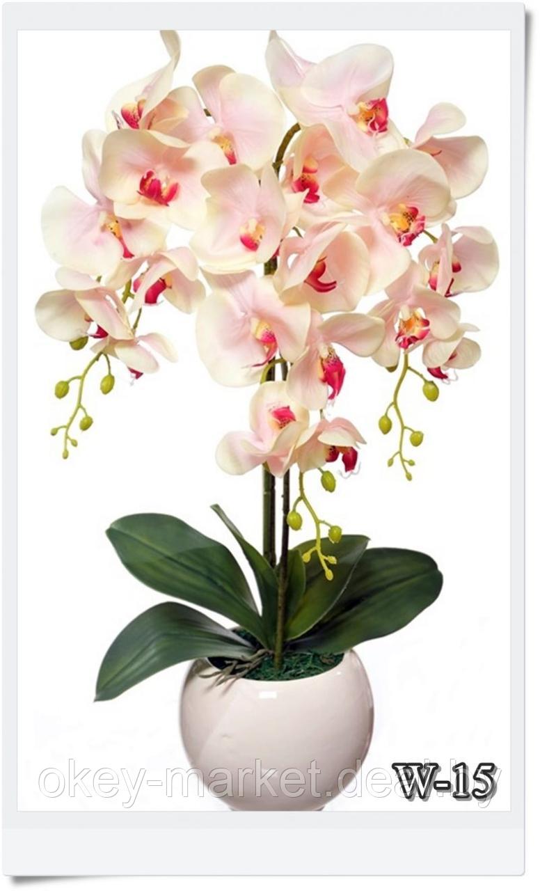 Цветочная композиция из орхидей в горшке W-15 - фото 2 - id-p146897611