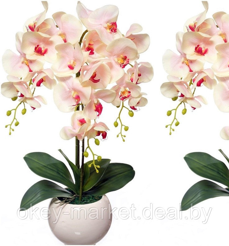 Цветочная композиция из орхидей в горшке W-15, фото 2