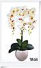 Цветочная композиция из орхидей в горшке W-14, фото 5