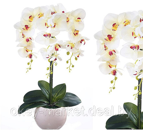 Цветочная композиция из орхидей в горшке W-14, фото 2