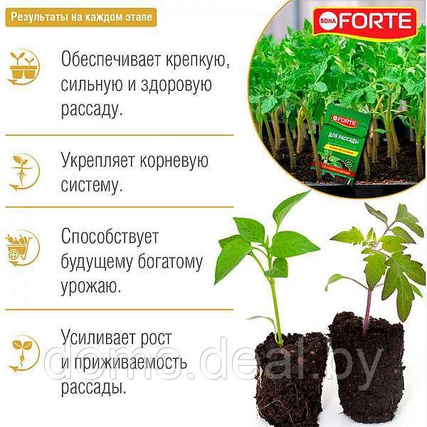 Удобрение Bona Forte Красота жидкое минеральное для Рассады, 10мл Bona Forte удобрение для рассады - фото 2 - id-p217509482