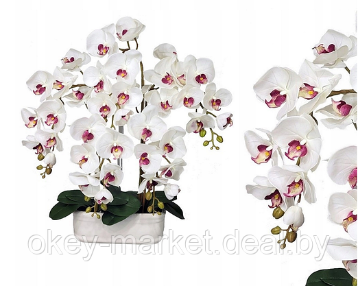 Цветочная композиция из орхидей в горшке R-54, фото 2