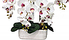 Цветочная композиция из орхидей в горшке R-54, фото 2
