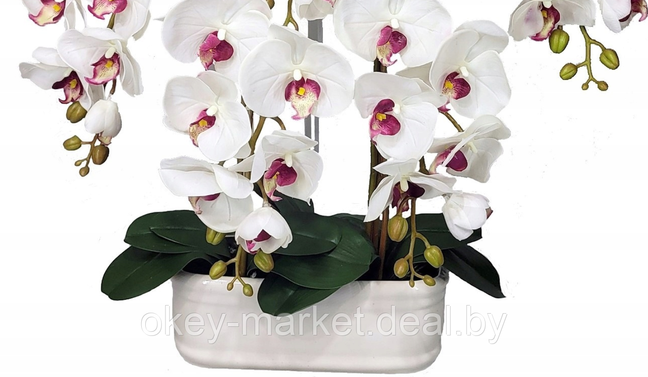 Цветочная композиция из орхидей в горшке R-54 - фото 6 - id-p147752387