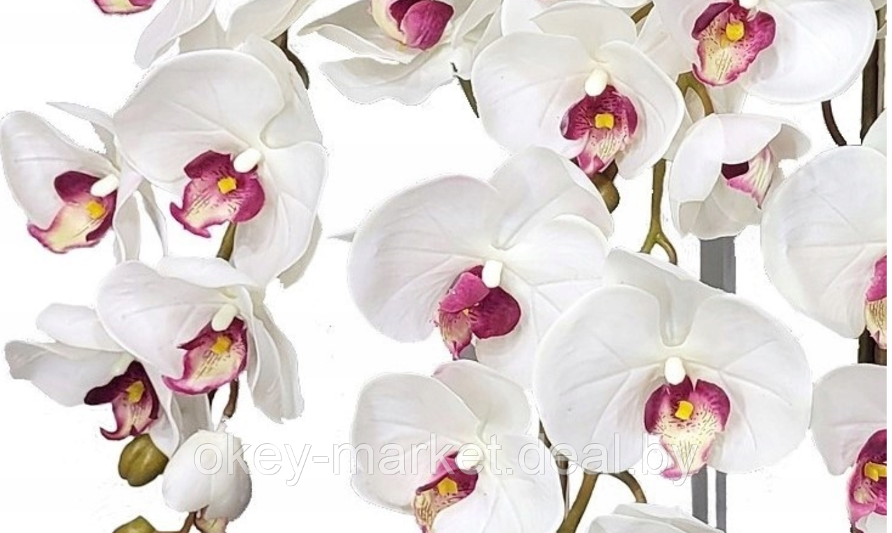 Цветочная композиция из орхидей в горшке R-54 - фото 7 - id-p147752387