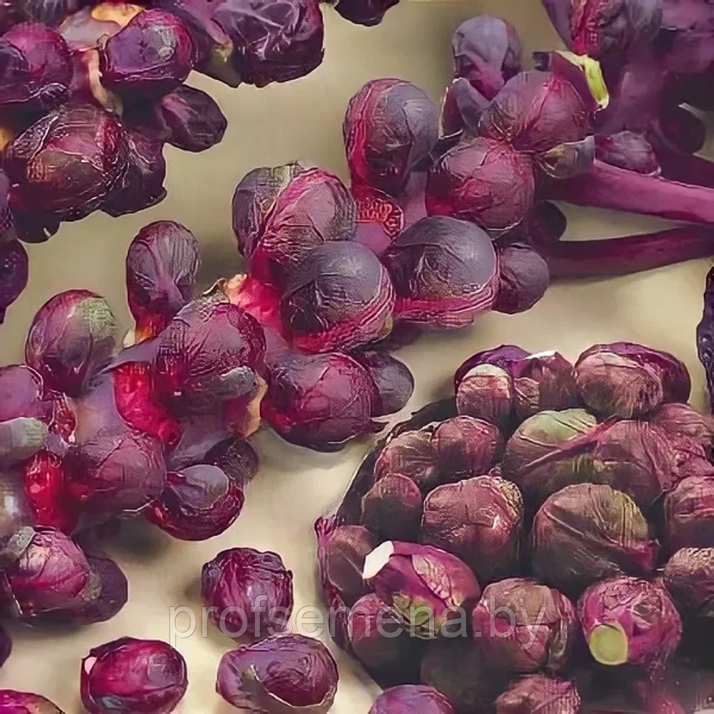 Капуста брюссельская Рубиновые бусы, семена, 0,1гр., Италия, (са)
