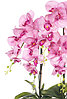 Цветочная композиция из орхидей в горшке F-57, фото 5