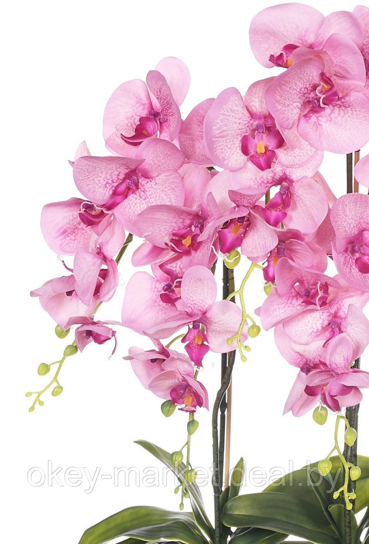 Цветочная композиция из орхидей в горшке F-57 - фото 9 - id-p147752349