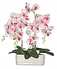 Цветочная композиция из орхидей в горшке R-831, фото 3