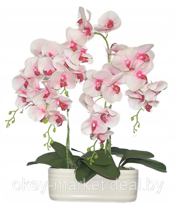 Цветочная композиция из орхидей в горшке R-831 - фото 7 - id-p147752418