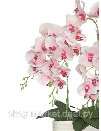 Цветочная композиция из орхидей в горшке R-831, фото 3